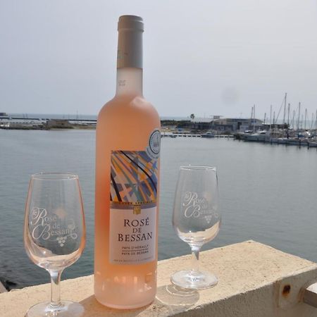Appartement Avec Balcon, Vue Mer, Piscine, Parking Agde Kültér fotó